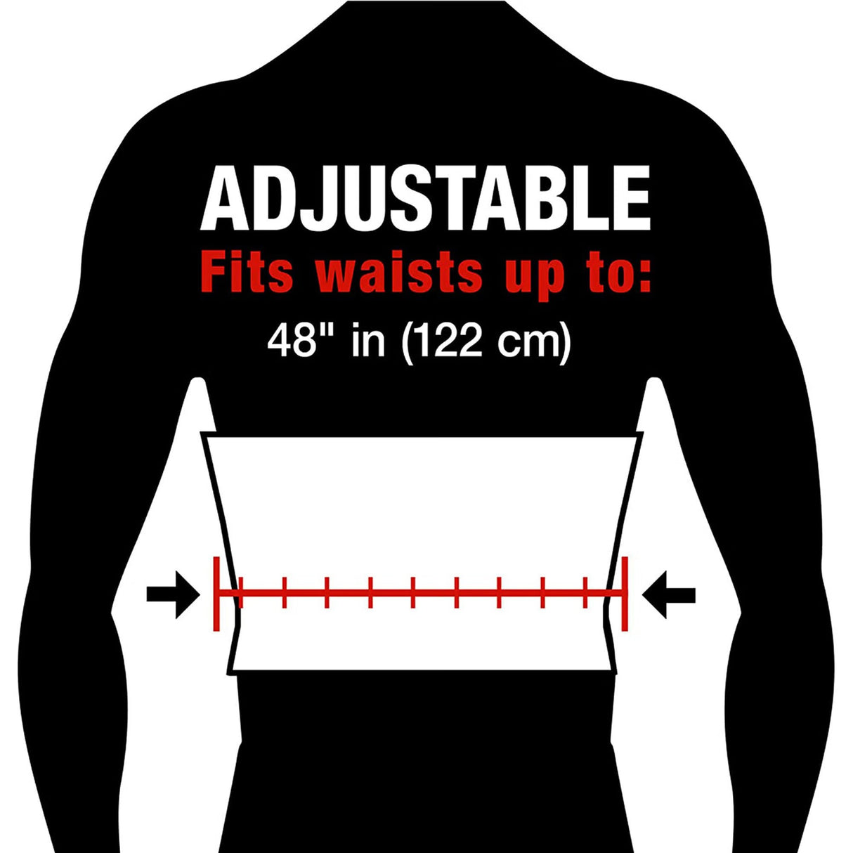 3M Ace Back Brace, Adult