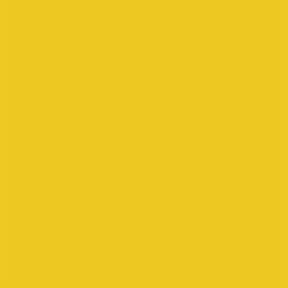 Proscope Disposable Stethoscope, Yellow, 22"