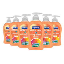 Softsoap Antibacterial Liquid Hand Soap, Crisp Clean Scent, 11.25 Oz Pump Bottle