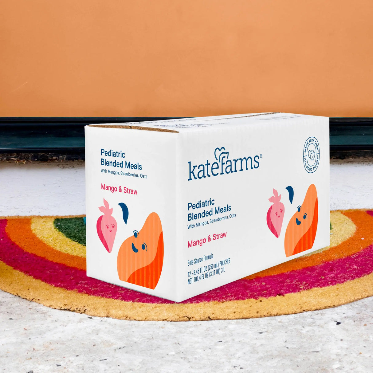 A white box labeled Kate Farms Pediatric Blended Meals, Mango & Strawberry, CS/12 sits on a rainbow doormat by the door. The Kate Farms packaging features cheerful fruit images and emphasizes plant-based tube feeding nutrition.