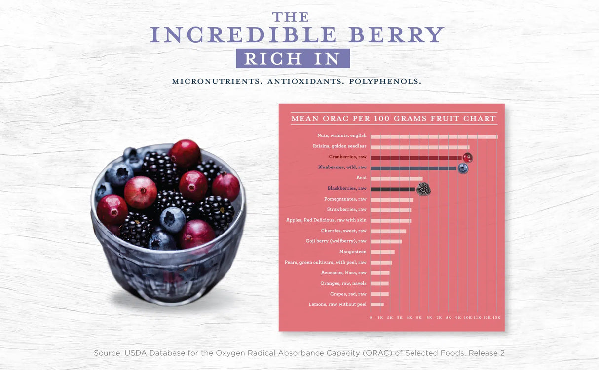 On the left, a glass bowl of mixed berries sits beside a bar chart showing antioxidant levels—highlighting elderberries and blueberries, key ingredients in Functional Formularies’ Nourish Pediatric Peptide Organic Tube Feeding Formula and Oral Supplement, Berry Medley.