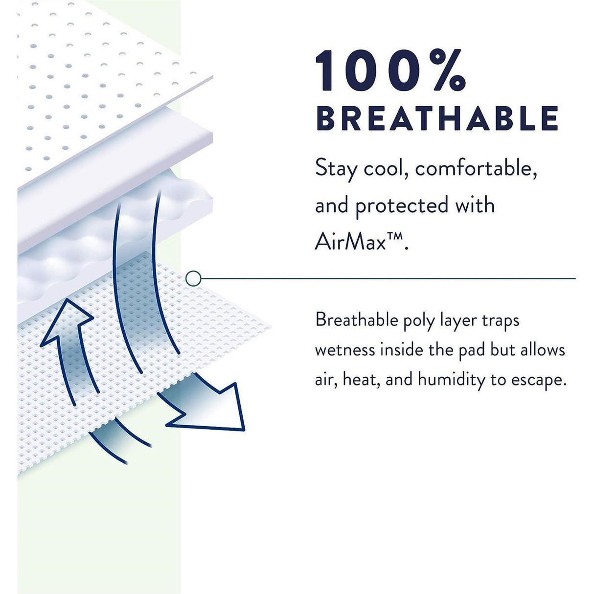 Prevail Daily Underwear, Extra Absorbency - PV512-Pack - LL Medico