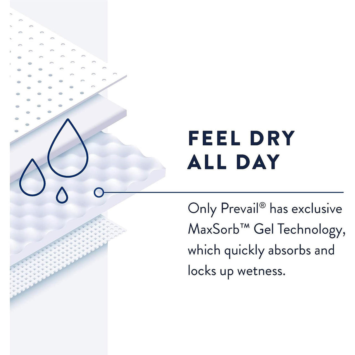Illustration of absorbent pad layers with water drop icons. Text reads: FEEL DRY ALL DAY. Prevail Pant Liners feature exclusive MaxSorb Gel Technology for fast absorption, wetness lock, and proven leakage protection.