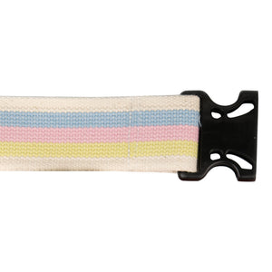 Transfer Belts
