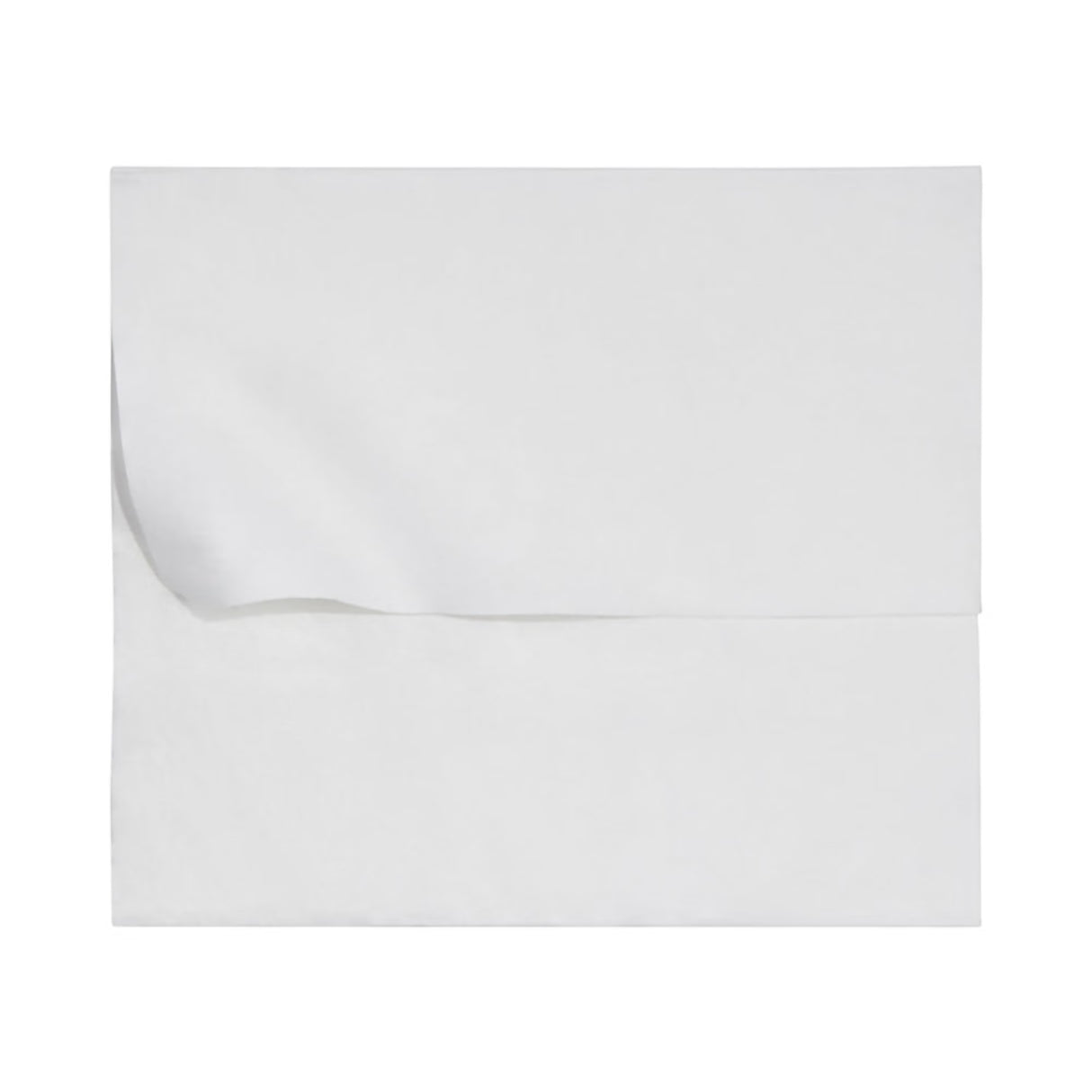 McKesson Flushable XL Wipes, Fragrance Free, 12.5" x 7.5" - DXLU48 - LL Medico