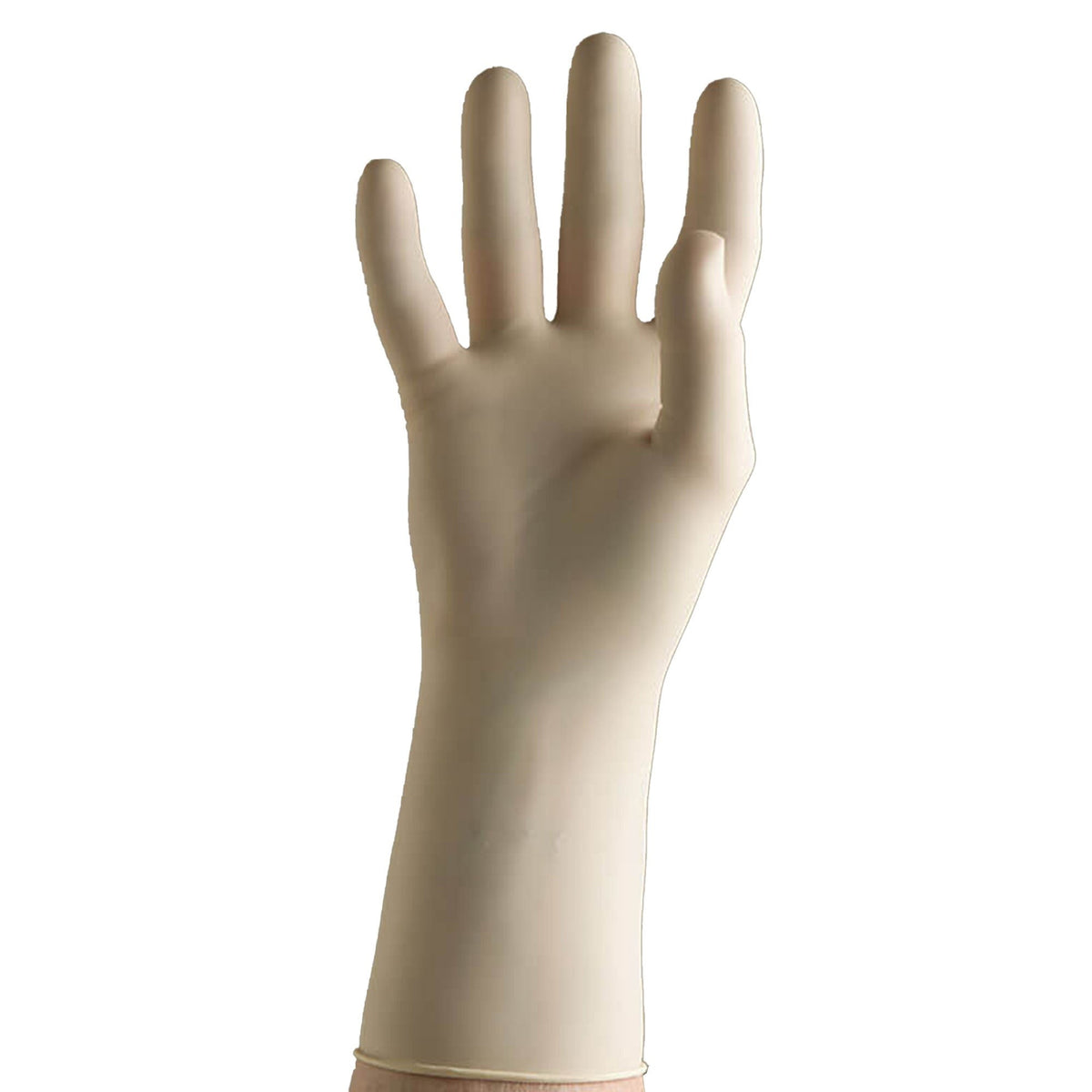 Prestige Chloroprene Surgical Gloves, Powder-Free, Size 7, Case - 134700 - LL Medico