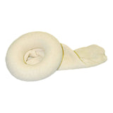 McKesson Surgical Stockinette, Tubular, 8 x 72", Beige, Cotton, Sterile - 16-3D-872 - LL Medico