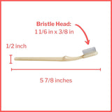 McKesson Toothbrush, Ivory, Adult Medium, Curved Handle
