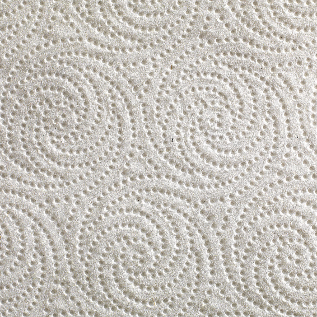 Pacific Blue Select Kitchen Paper Towel, Perforated Roll, 8.8" x 11", White, Paper - 27385 - LL Medico