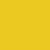 Proscope Disposable Stethoscope, Yellow, 22"