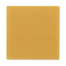 Hollister Hollihesive Two-Piece Skin Barrier, Flat