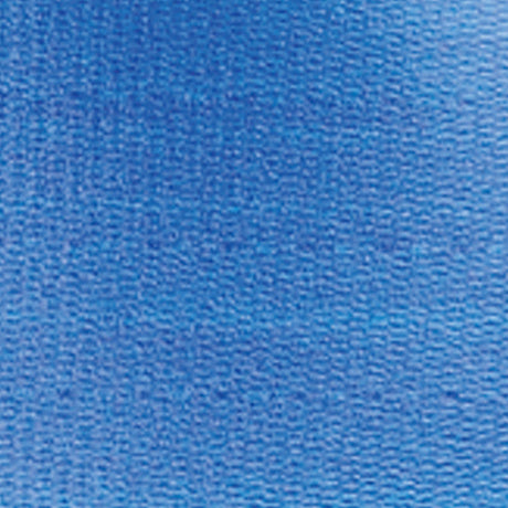 Gait Belt SkiL-Care Pathoshield 60 Inch Length Blue Plastic Coated Webbing