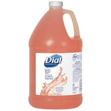 Dial Professional Hair + Body Wash, 1 Gallon Jug