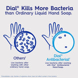 Dial Professional Antibacterial Defense Liquid Hand Soap with Aloe, Gold, 11 fl oz, Box of 12