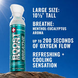 Boost Oxygen Canister, Menthol-Eucalyptus, Large - 719-Single - LL Medico