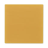 Hollister Hollihesive Skin Barrier Wafer, Flat, 10 x 10 cm - 7700-Single - LL Medico