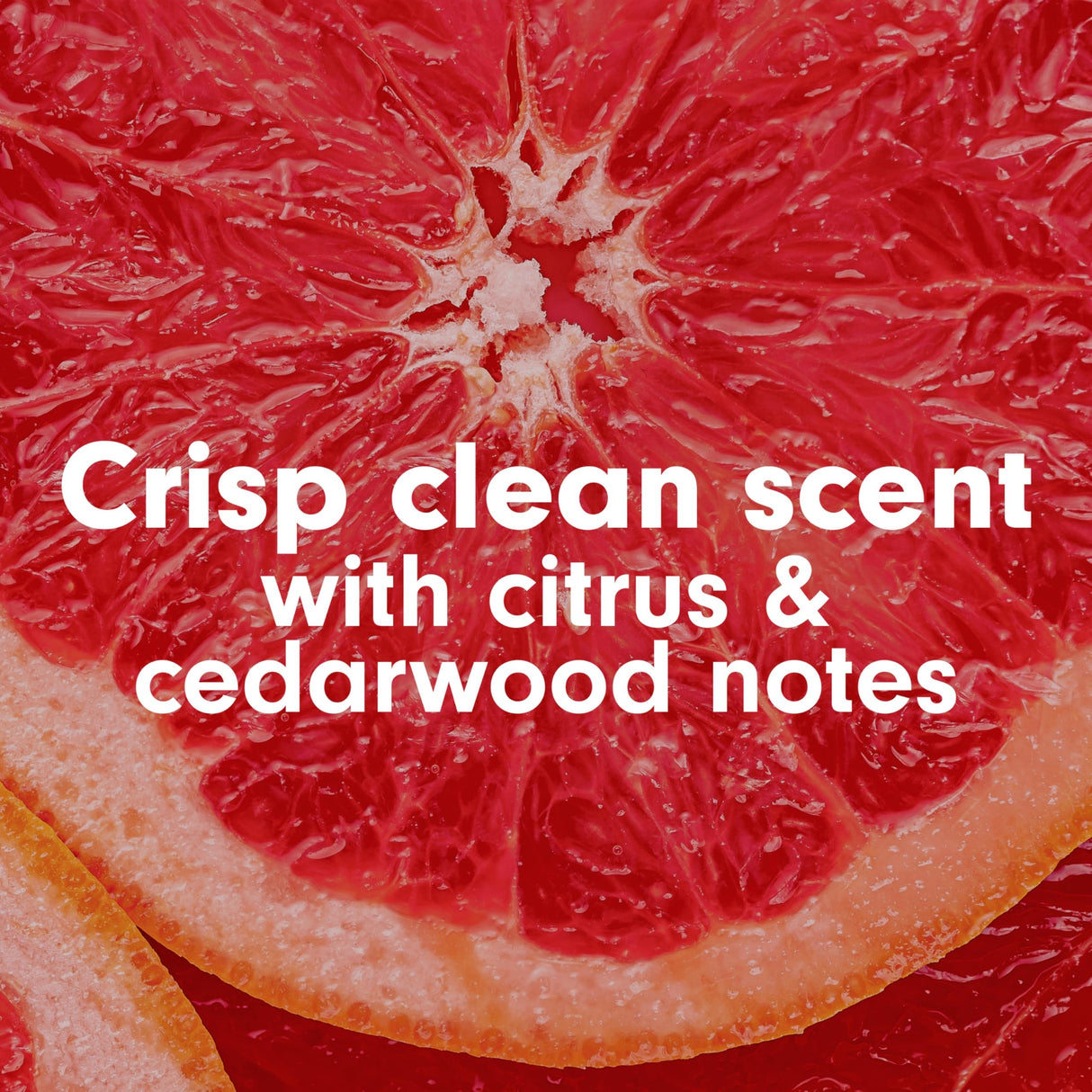 Softsoap Antibacterial Liquid Hand Soap, Crisp Clean Scent, 11.25 Oz Pump Bottle