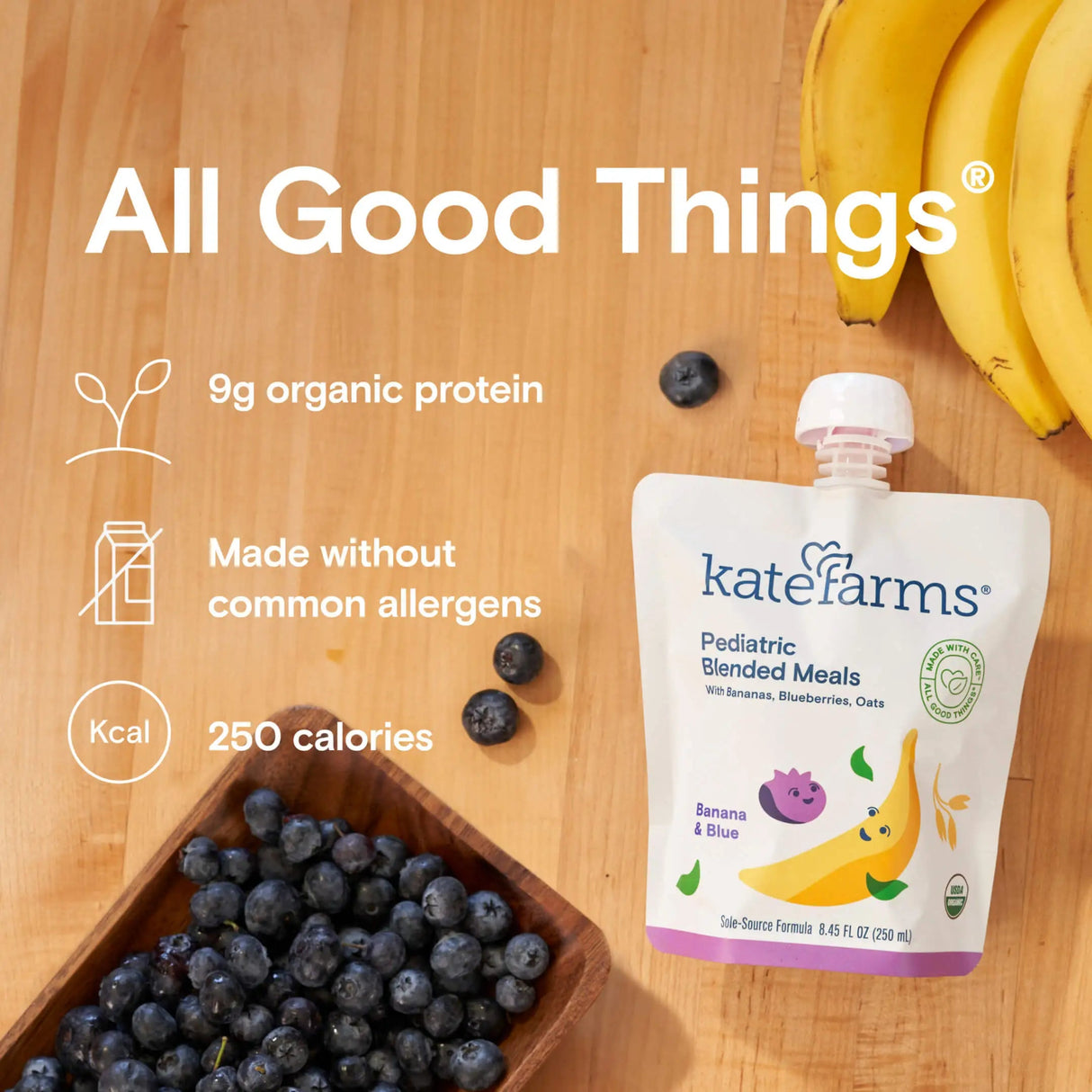 Kate Farms Pediatric Blended Meals, Banana & Blueberry, CS/12 - 811112030775-Case - LL Medico