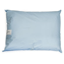 McKesson Reusable Bed Pillow, Vinyl Cover, Blue, 19" x 25" - 41-1925-BXF-Single - LL Medico
