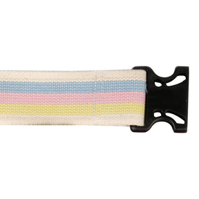 McKesson Transfer Gait Belt, Pastel Stripe, 60" - 859-Single - LL Medico