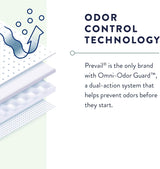 Prevail Daily Underwear, Extra Absorbency - PV512-Pack - LL Medico