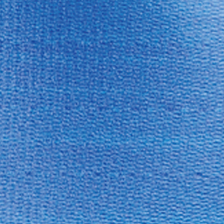Skil-Care PathoShield Gait Belt, Blue Plastic Coated Webbing, 60" - 914380-Single - LL Medico