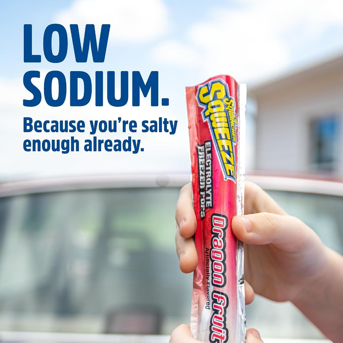 Sqwincher Sqweeze Zero Electrolyte Freezer Pops, Variety Pack, 3 oz - 159200231-Bag - LL Medico